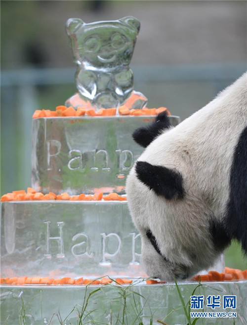 ?ltestes Pandam?nnchen gestorben