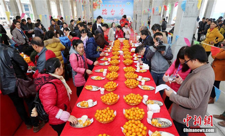 Kr?nung des Kumquatk?nigs in Guangxi