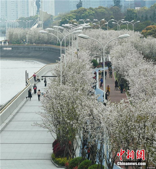 Chinas sch?nster Laufweg am Qiantang-Fluss