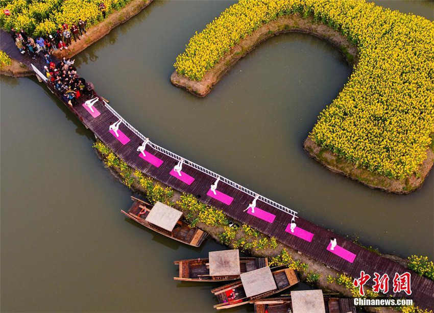 Yoga im Rapsblütenmeer