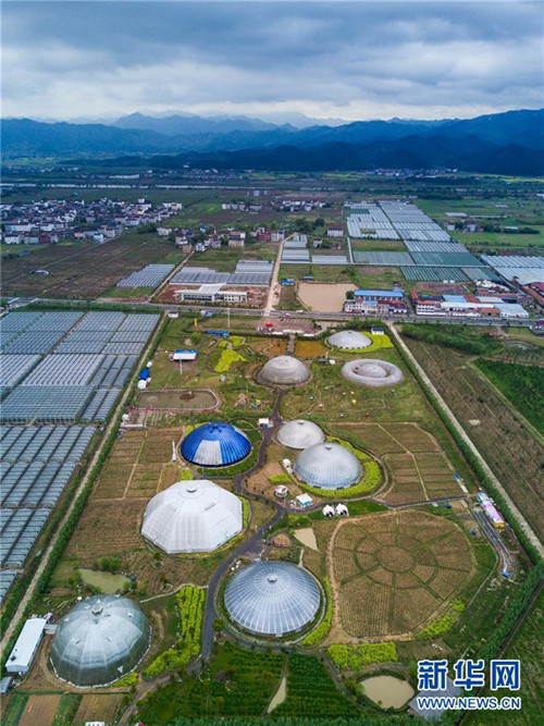 Zhejiangs Planetenfarm begrü?t die Blütezeit