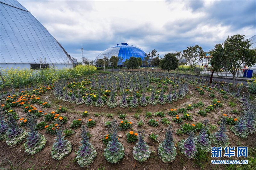 Zhejiangs Planetenfarm begrü?t die Blütezeit