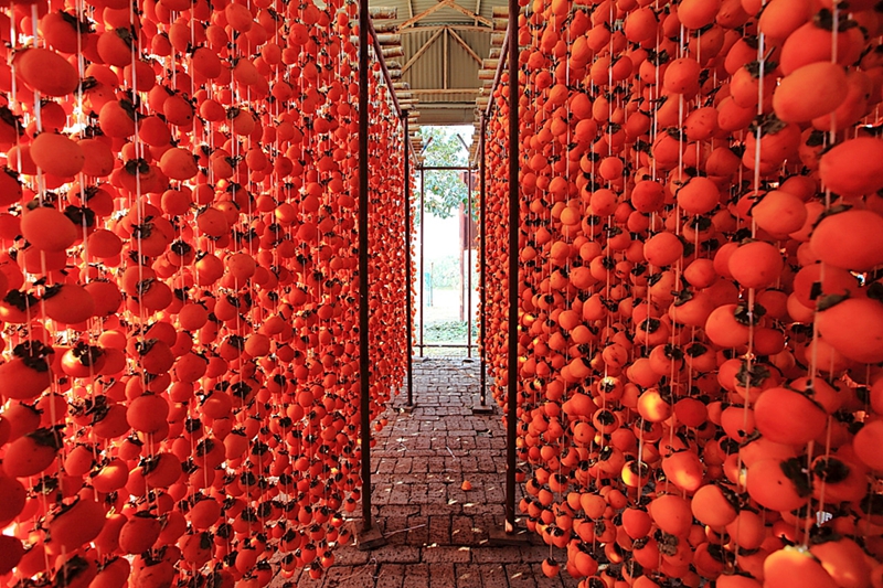 Berühmte Spezialit?t von Shaanxi – Getrocknete Kakipflaume in Fuping