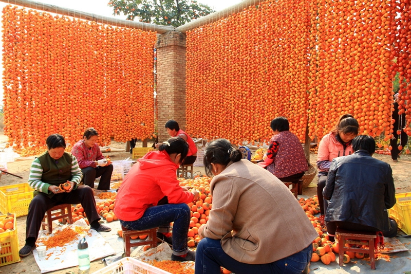 Berühmte Spezialit?t von Shaanxi – Getrocknete Kakipflaume in Fuping