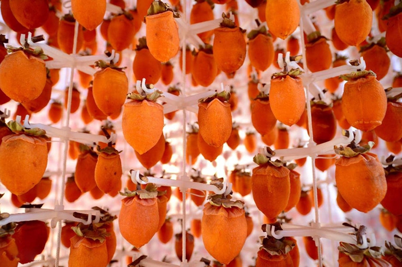 Berühmte Spezialit?t von Shaanxi – Getrocknete Kakipflaume in Fuping