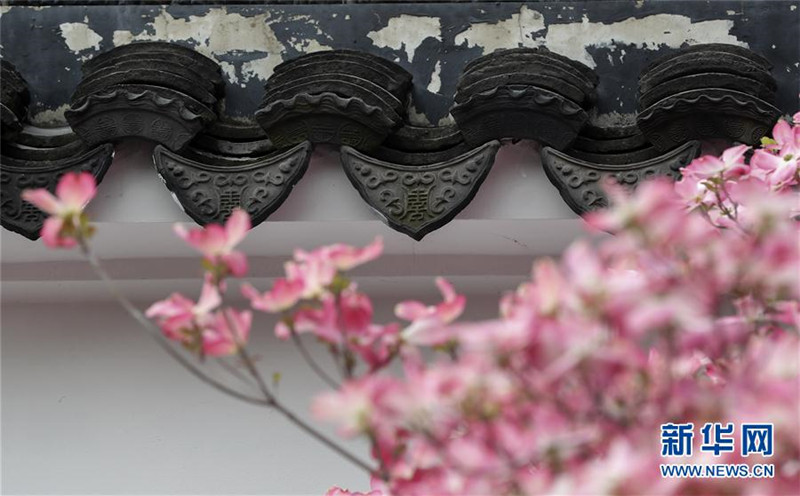 Jixing: New Yorks Chinesischer Garten