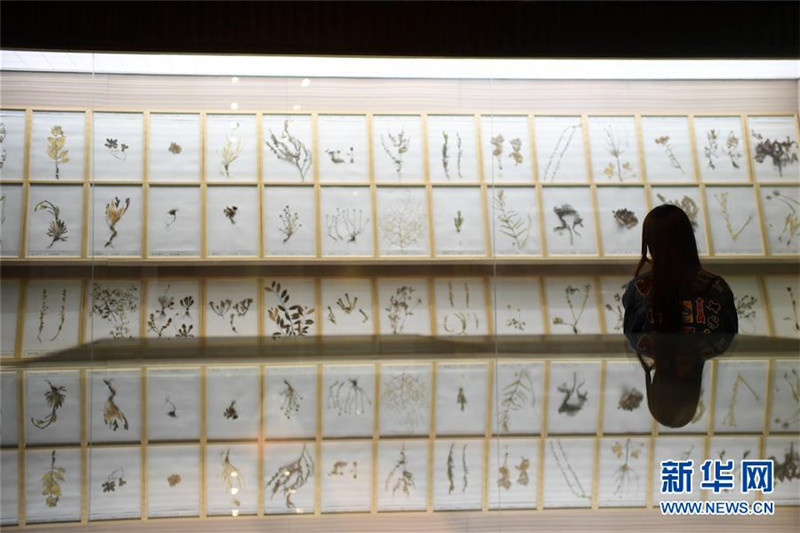 Chinesisches Museum der tibetischen Medizinkultur