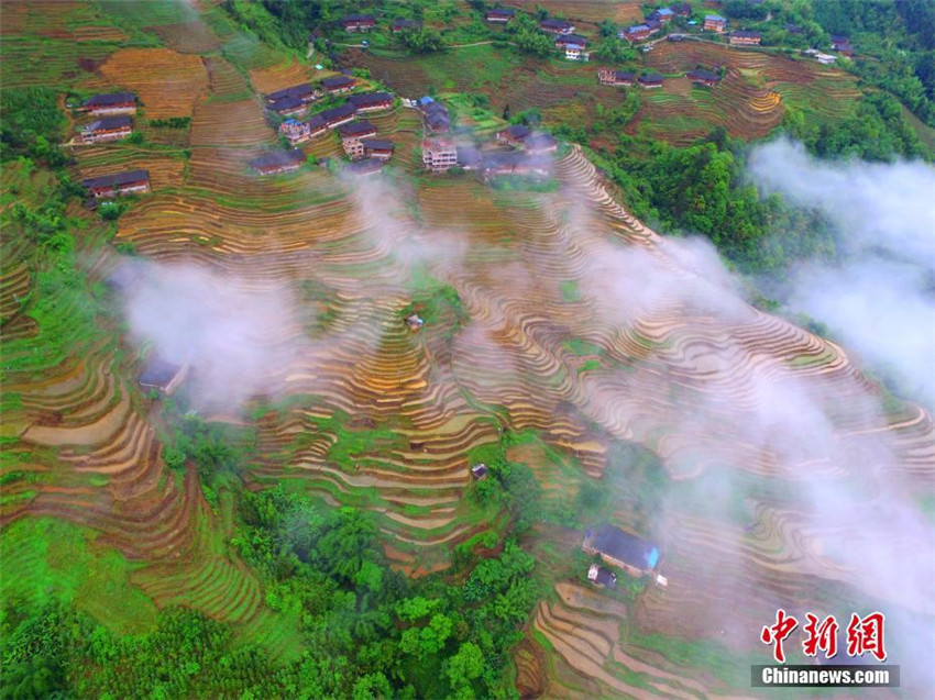 Guangxis malerische Terrassen