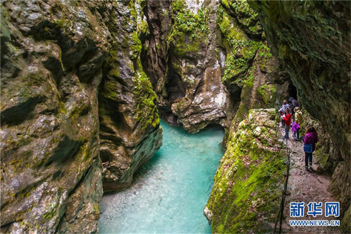 Internationaler Tag der biologischen Vielfalt 2017