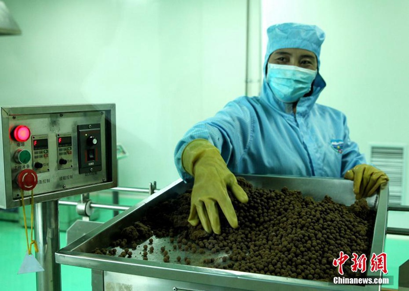 Chinas gr??tes Fertigungslabor für Tibetische Medizin in Qinghai 