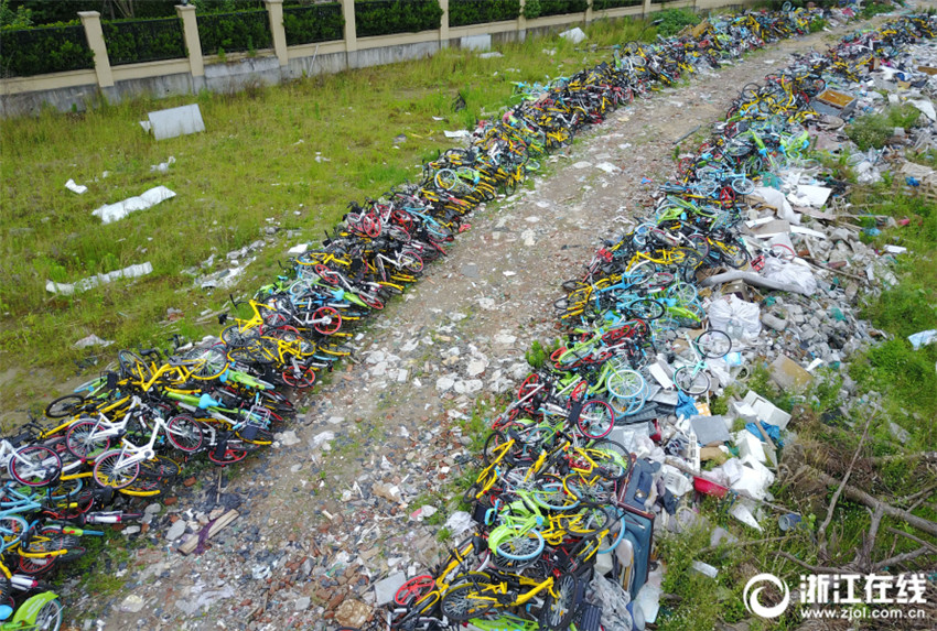 Robustes Wachstum der Mietfahrradbranche beeintr?chtigt Hangzhous Stadtbild