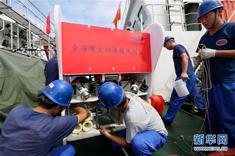 Chinesische Forscher sammeln Flohkrebse aus 8000 Meter Tiefe