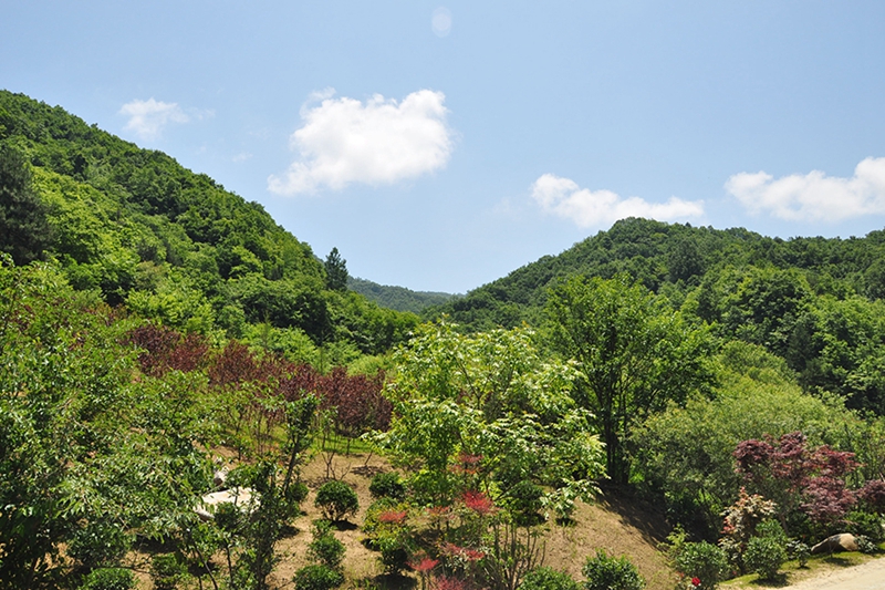 Attraktion von Hochgebirge und Feuchtgebiet Youran der Qinling-Gebirge