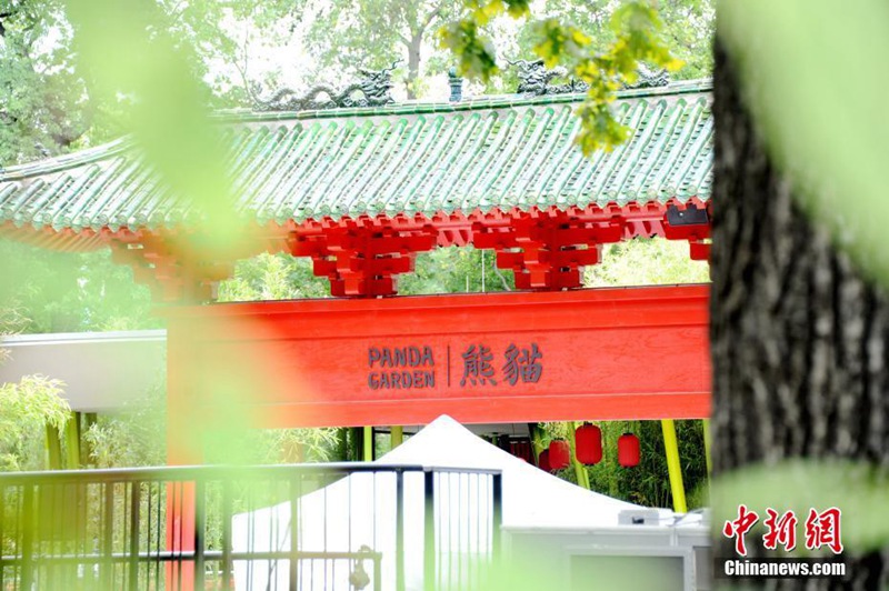 Meng Meng und Jiao Qing vor dem Debüt in Berlin 