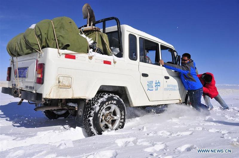 Hoh Xil in Nordwestchina wird in Welterbeliste aufgenommen