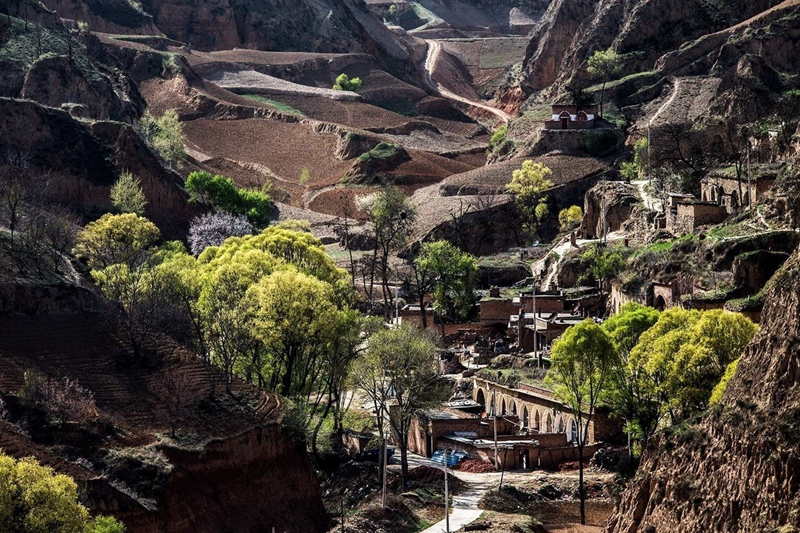 Wohnh?hlen im Norden von Shaanxi: lebendes Fossil des chinesischen Kulturerbes