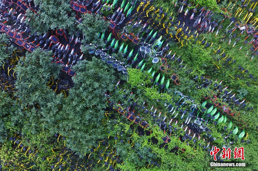 Shanghai kontrolliert die massenhafte Ausbreitung von Mietfahrr?dern