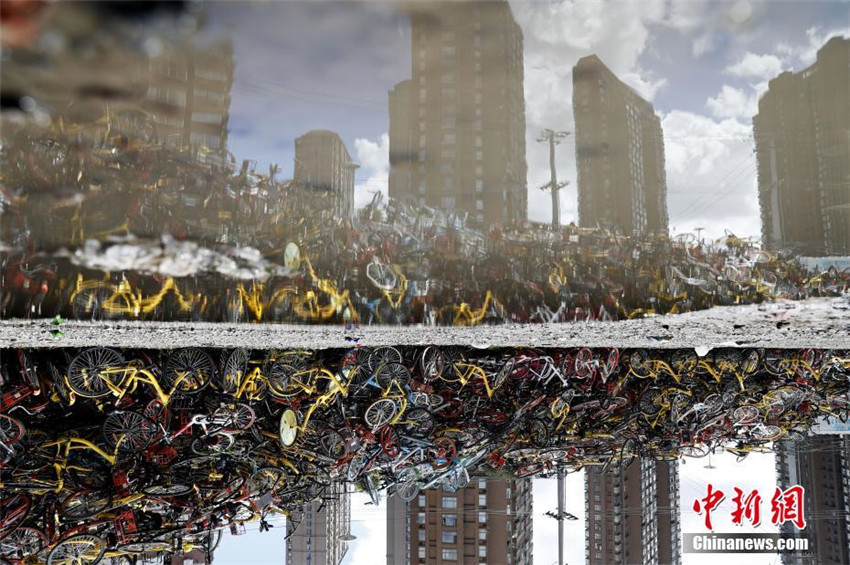 Shanghai kontrolliert die massenhafte Ausbreitung von Mietfahrr?dern