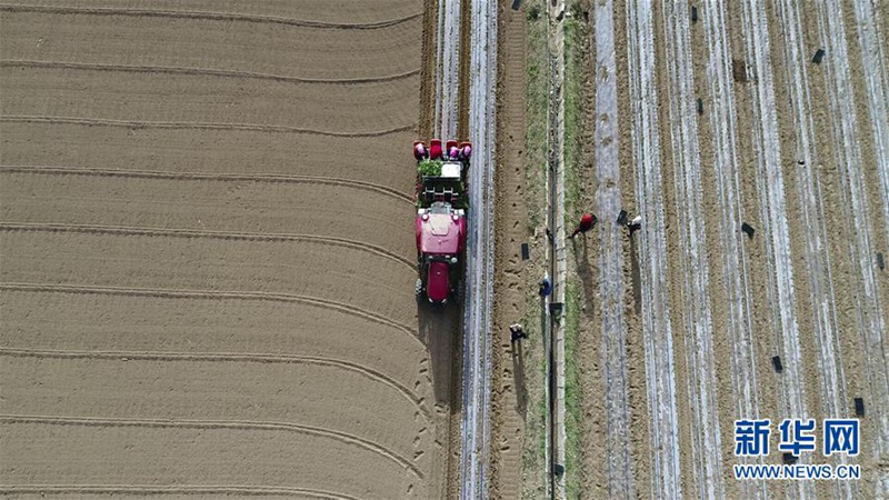 Beidou-Navigationssystem hilft bei der Feldarbeit 