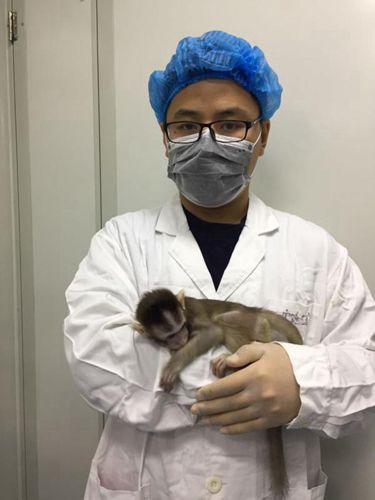 Die ersten geklonten Affen genie?en den Sonnenschein