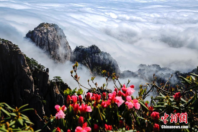Faszinierende Landschaft am Huangshan-Berg