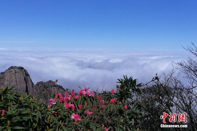 Faszinierende Landschaft am Huangshan-Berg