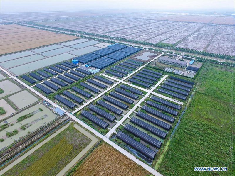 Technik f?rdert die Ertr?ge der Agrikultur in der Provinz Zhejiang