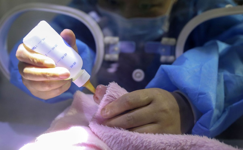 Pandazwillinge in Chengdu geboren