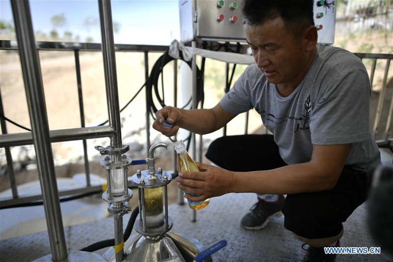 Umweltbasis in Ningxia transformiert Wüste in Ozean aus Lavendel