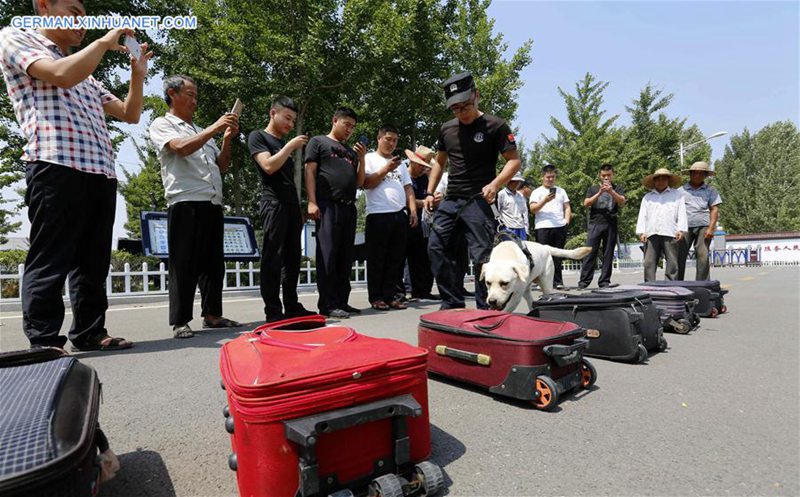 Tag der offenen Tür für Spürhund in Shandong abgehalten