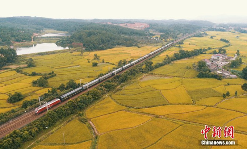Chinesischer Sommerverkehr beginnt