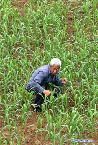 Online-Gesch?ft hilft Dorfbewohnern bei Verkauf ihrer landwirtschaftlichen Produkte