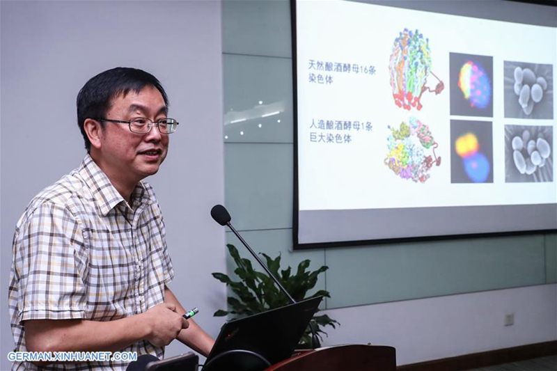 China Focus: Chinesische Wissenschaftler führen eine genetische Operation durch, um die erste Einzel-Chromosom-Hefe zu erzeugen