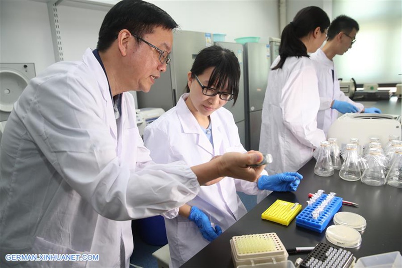 China Focus: Chinesische Wissenschaftler führen eine genetische Operation durch, um die erste Einzel-Chromosom-Hefe zu erzeugen