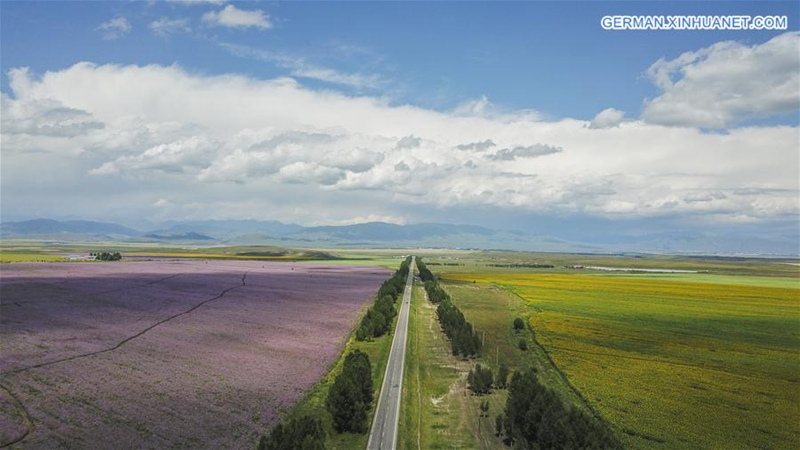 Xinjiang beschleunigt Transport-, Logistikentwicklung