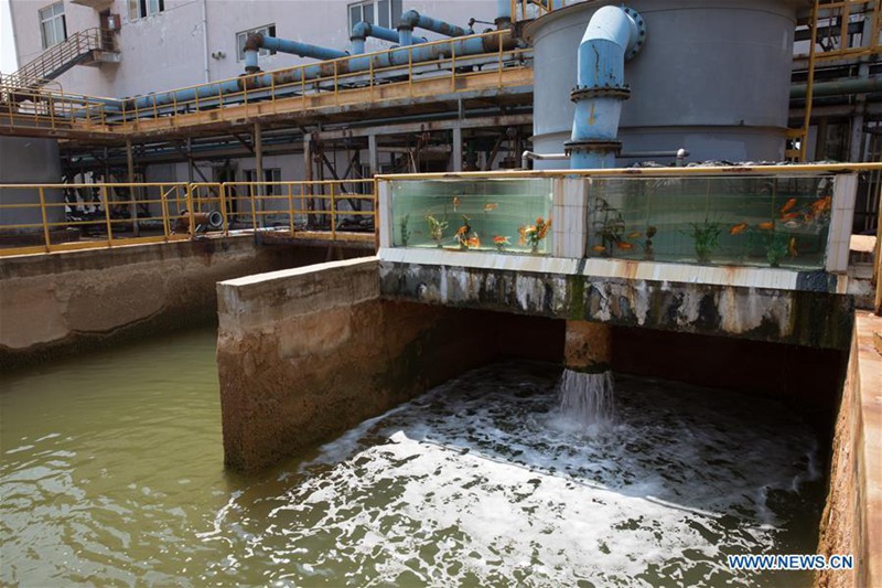 Grüne Industrie entwickelt sich in der Provinz Anhui