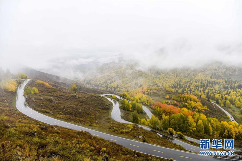 Stra?enbau in Xinjiang