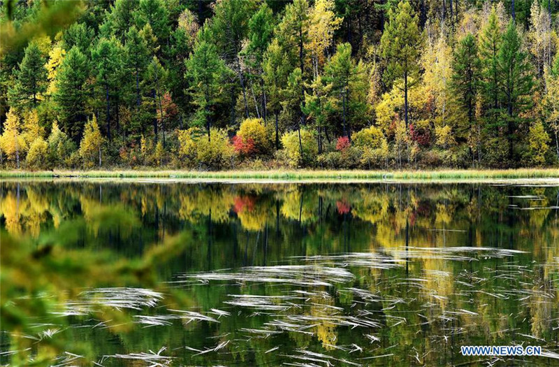 Atemberaubend sch?ne Landschaft in Arxan