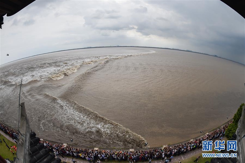 Gezeitenwelle am Qiantang-Fluss