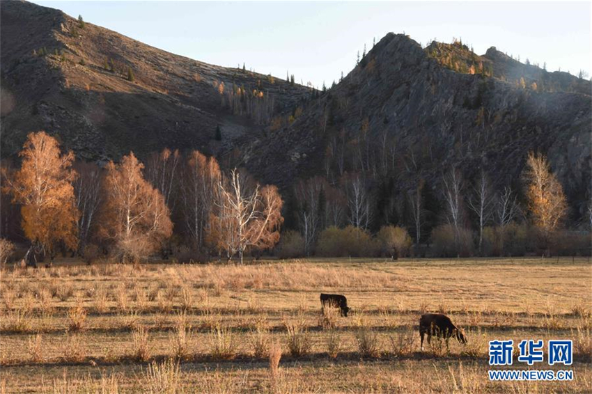 Xinjiang er?ffnet ersten Geopark
