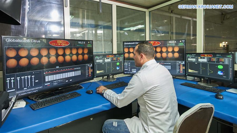 ?gyptischer Gesch?ftsmann: Import Expo in Shanghai wird ?gyptische Exporte nach China erh?hen