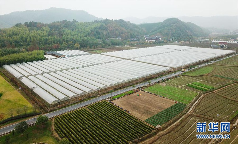 Ostchinesisches Dorf arbeitet aktiv an der Ankurbelung seiner Wirtschaft 