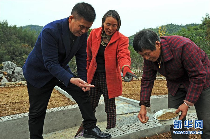 Ostchinesisches Dorf arbeitet aktiv an der Ankurbelung seiner Wirtschaft 