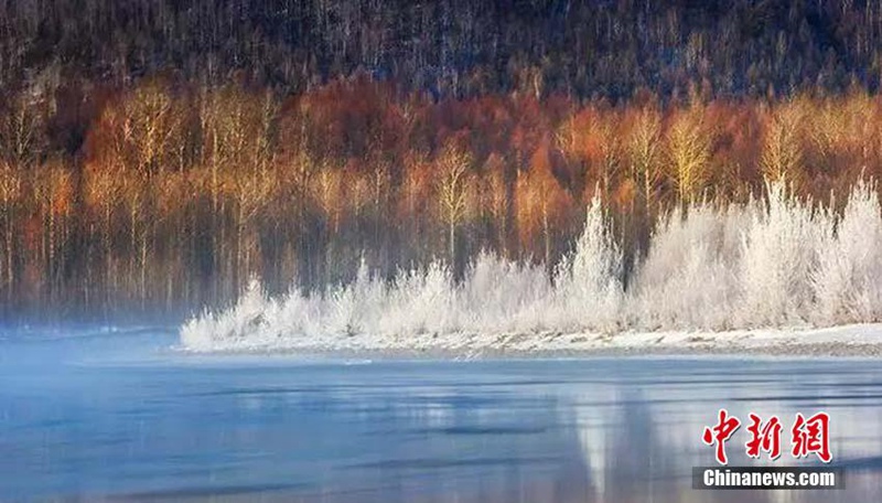 Minus 38 Grad Celsius: sch?ner Raureif in der k?ltesten Gemeinde Chinas