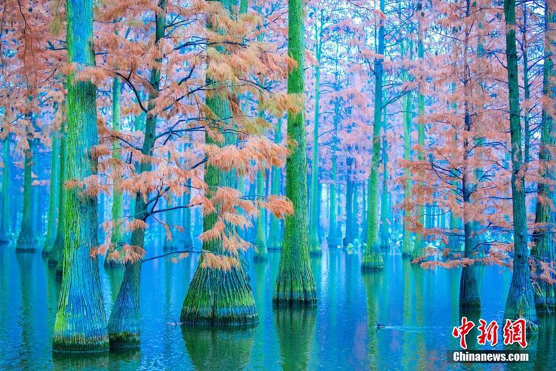 Winterlandschaft von Feuchtgebiet Zhangduhu