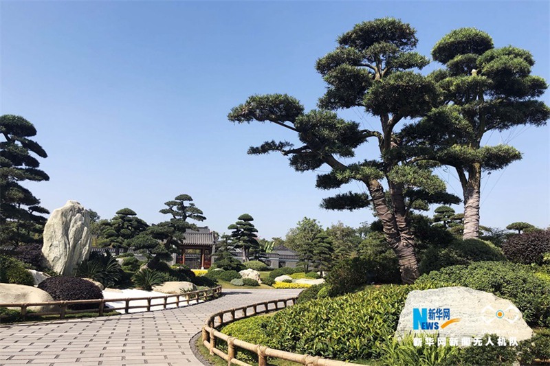 Wundersch?ne Luftaufnahmen der Gartenexpo in Guangxi