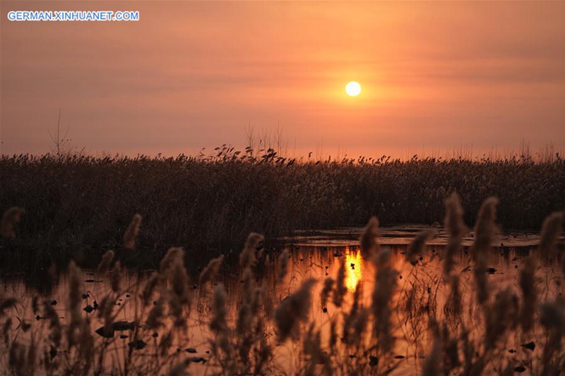 Sonnenaufgang in Baiyangdian in Xiong'an New Area