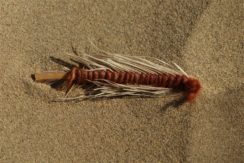 Arch?ologische Entdeckungen in Xinjiang