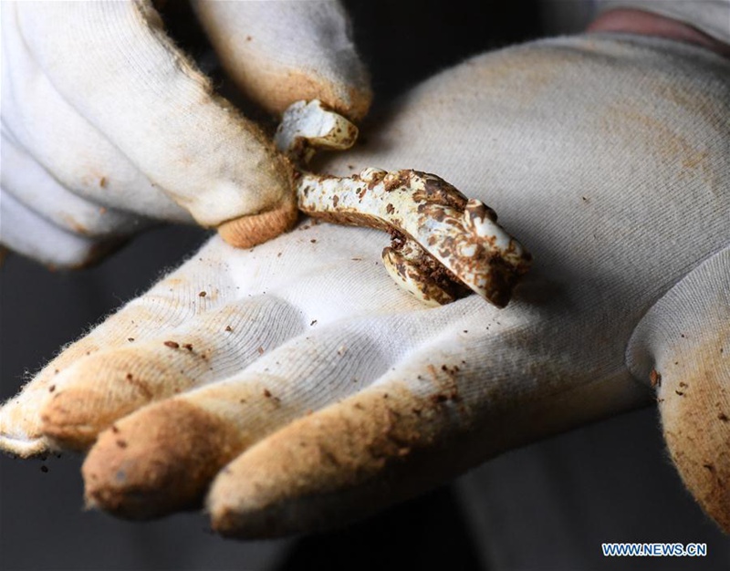 China verst?rkt den Schutz kultureller Relikte 