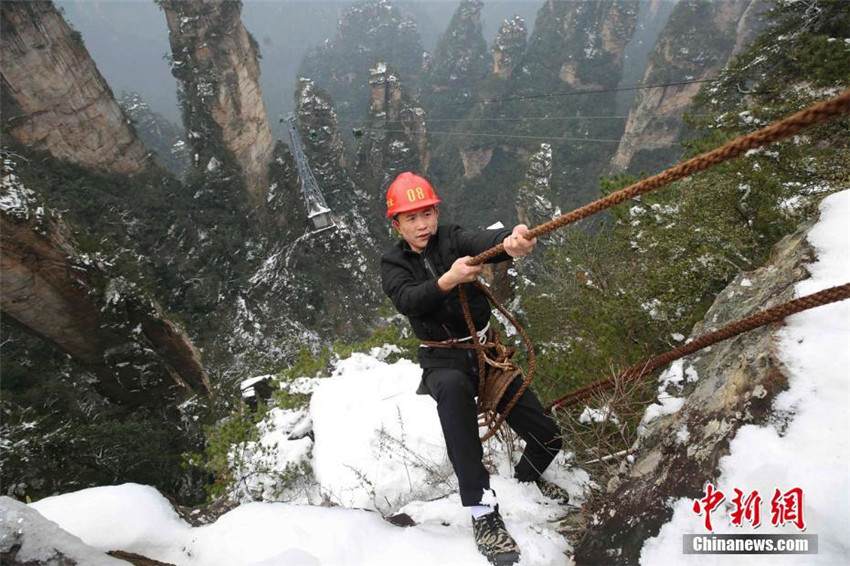 Müllsammeln am Steilhang